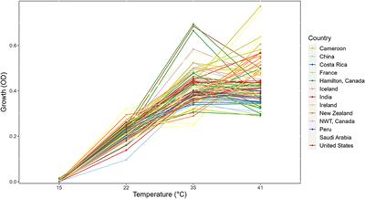 Assessing thermal adaptation of a global sample of Aspergillus fumigatus: Implications for climate change effects